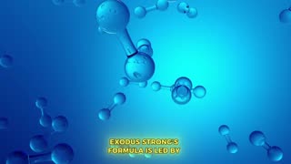 FaithNFreedomTV 24/7: More Channels at FaithNFreedom.TV