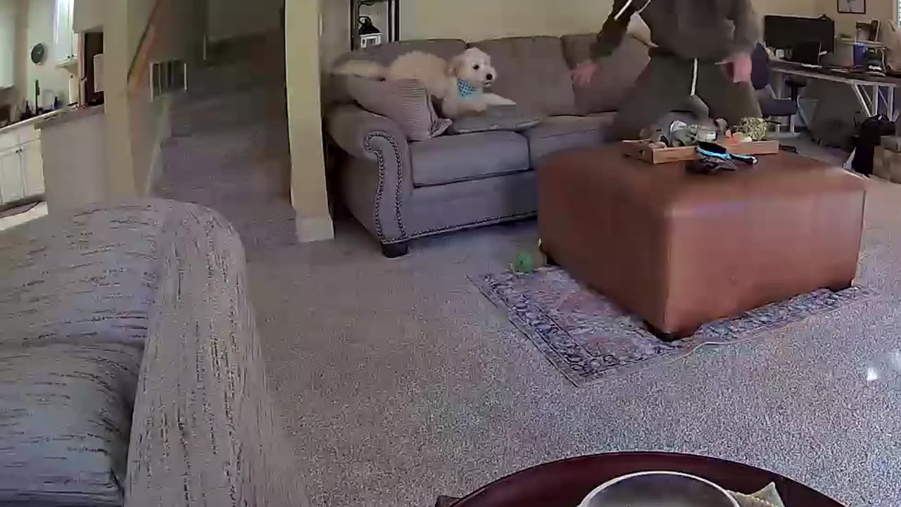 Wally Full Sends Over the Couch