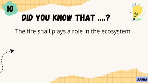 30 Interesting facts about the fire snail| part 2