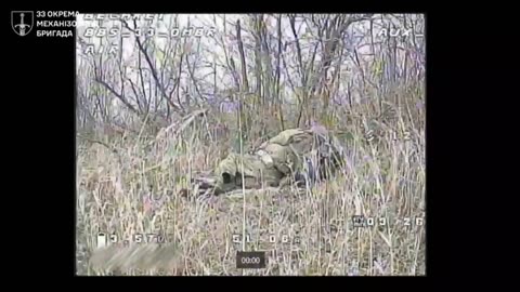 The invaders went on the assault near Volodymyrivka…