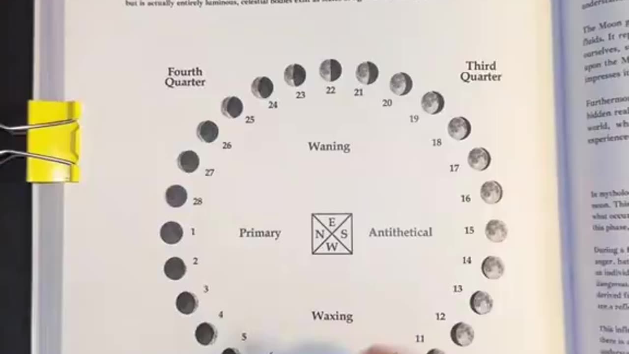 Even the calendar is a lie! 🤪