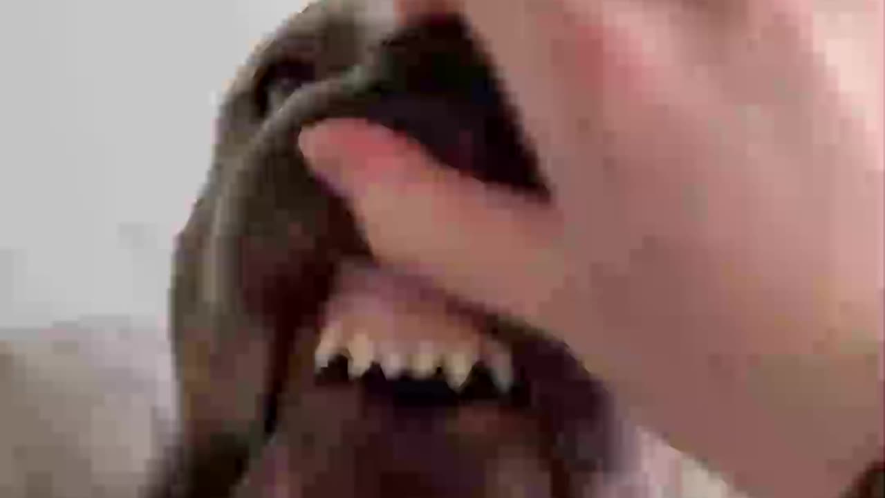 capo’s teeth 😂