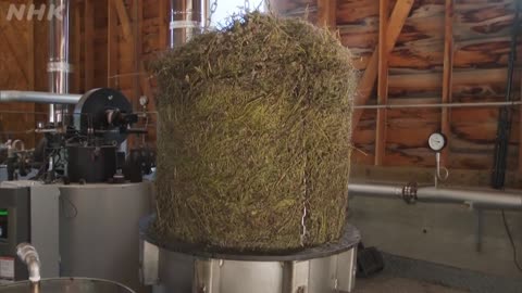 小さな旅 「特集 彩りの四季」 2025