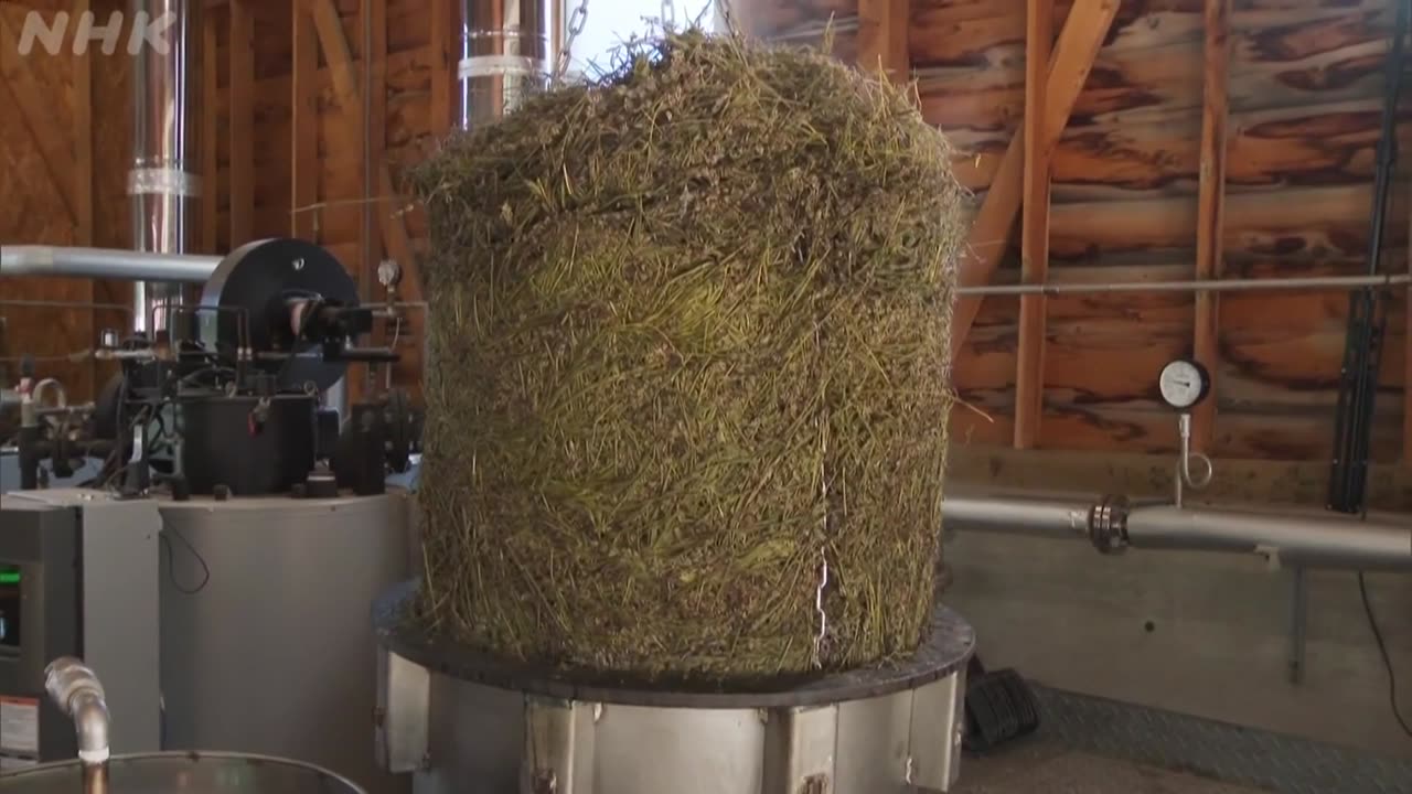 小さな旅 「特集 彩りの四季」 2025