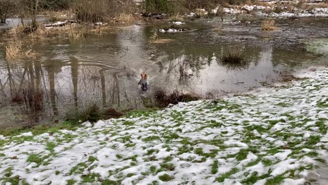 Wayne's park patrol 23908432098430298