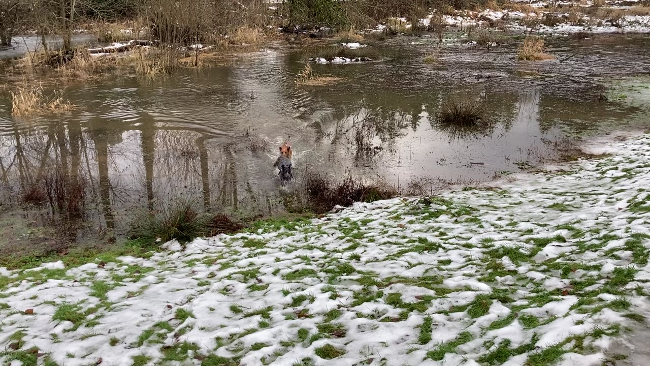 Wayne's park patrol 23908432098430298