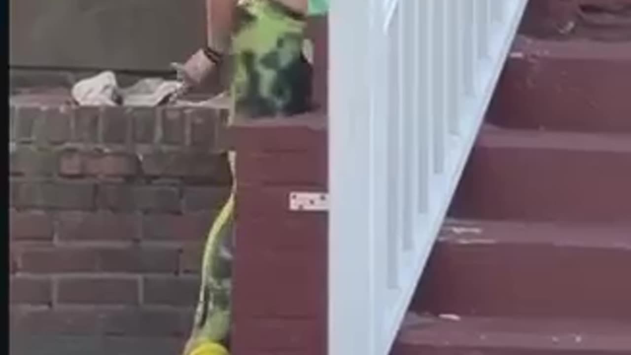 mudshark and negro tweaking on meth REALLY bad