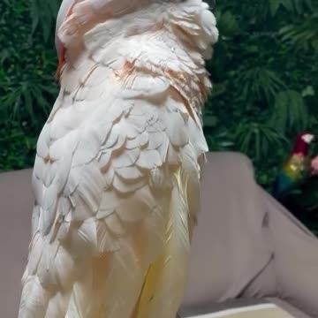 Canal Winchester Ohio