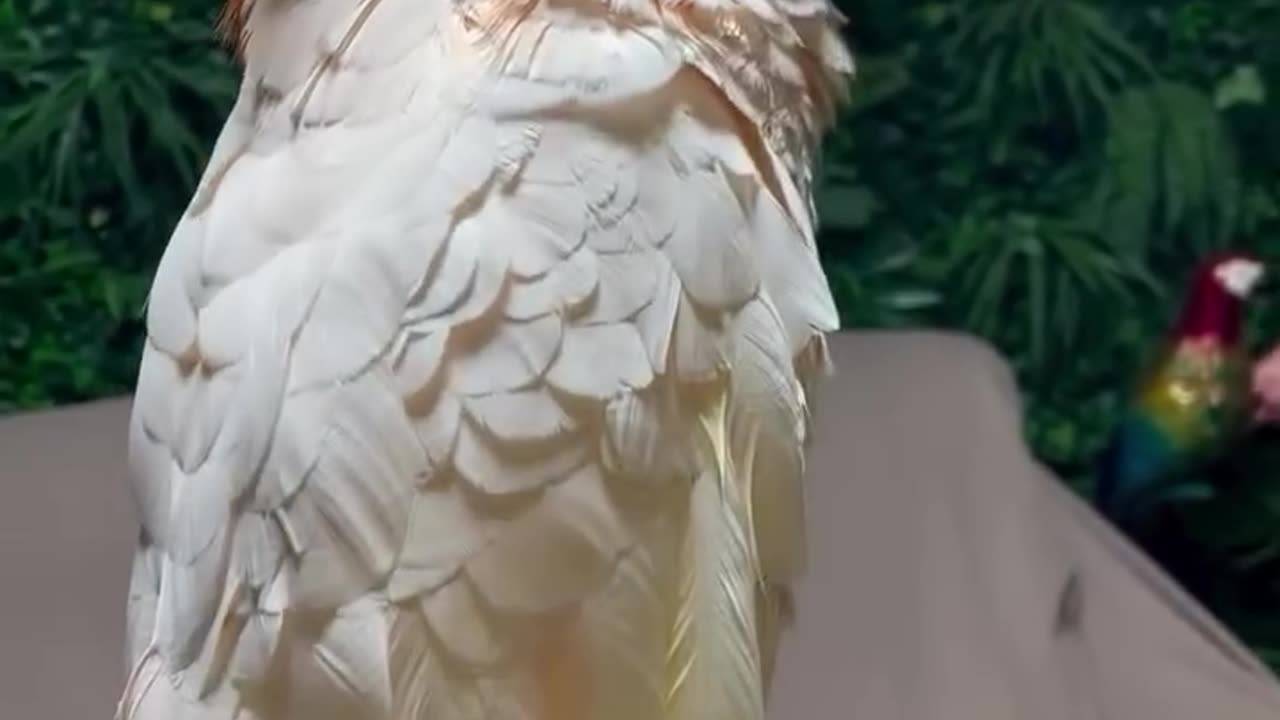 Canal Winchester Ohio