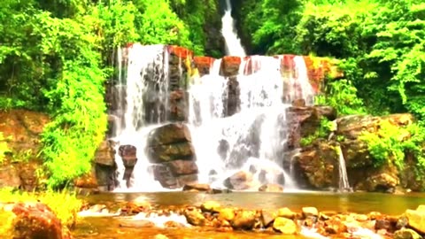 Should I watch you or the beauty of nature #music