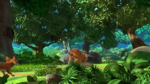 Animals videos