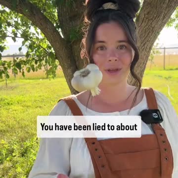 Flea and tick medications for our pets are linked to seizures, organ damage, and death.