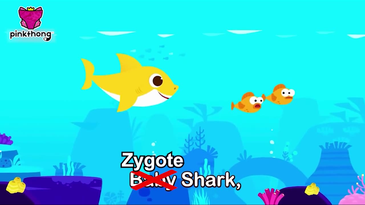 Zygote Shark #wormholesitcom #puppets #parody #skitcomedy