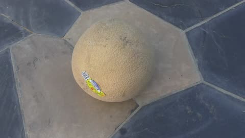 mmmm, Cantaloupe is SO TASTY! WOW!