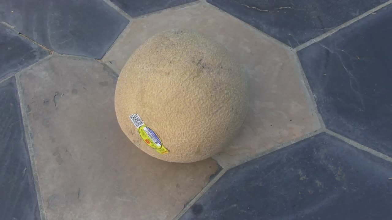 mmmm, Cantaloupe is SO TASTY! WOW!