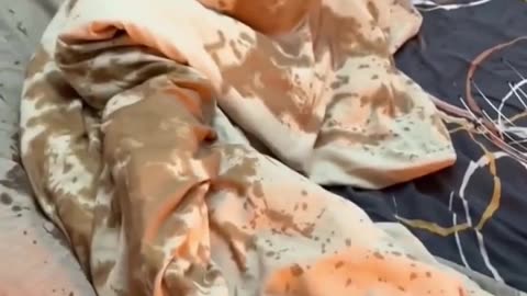 🤪🚨 Never a Dull Moment in This Chaos! | FunFM