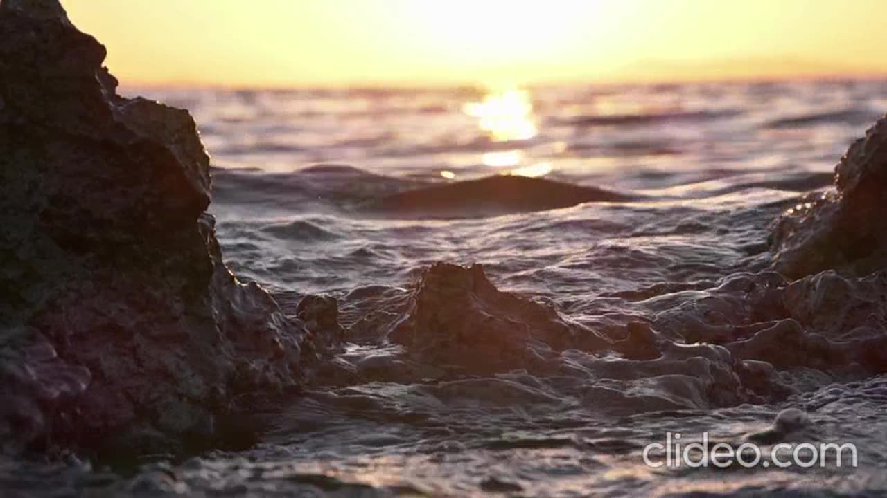 leilao ediçao mundo da musica.mp4