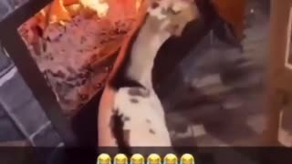 Explain this