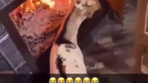 Explain this