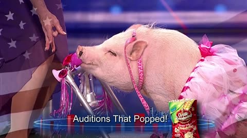 America's Got Talent - S07E10 - Final Auditions