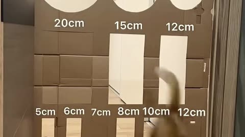 💡✨ Transform Your Routine With This 37-Second Hack! | LifeHacksDaily