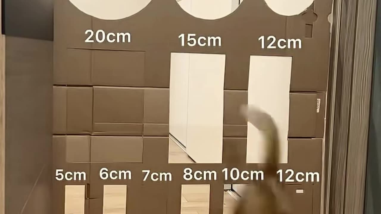 💡✨ Transform Your Routine With This 37-Second Hack! | LifeHacksDaily