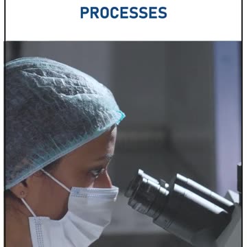 Applications of Primary Cell Culture #Kosheeka