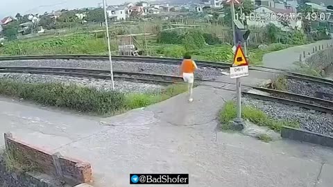 Dumbo hit by train