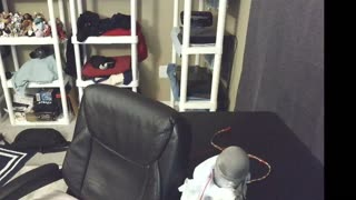 Jack Doherty Has Recommenced Live Streaming After The Incident That Occurred In Miami Beach, Florida