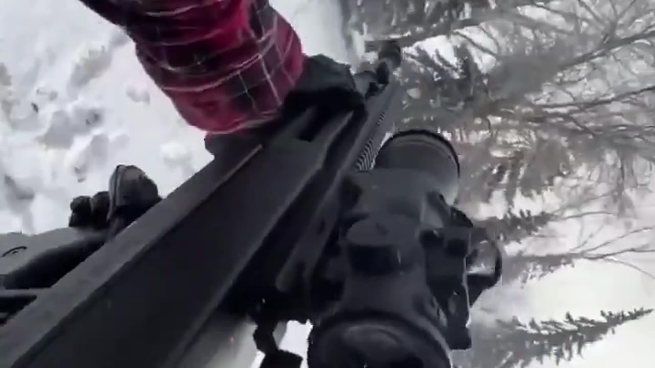Bullpup .500