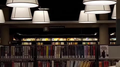 Risslove Does Not Like Reading Much #reading #books #bovcast