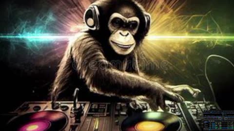 bassline sessions