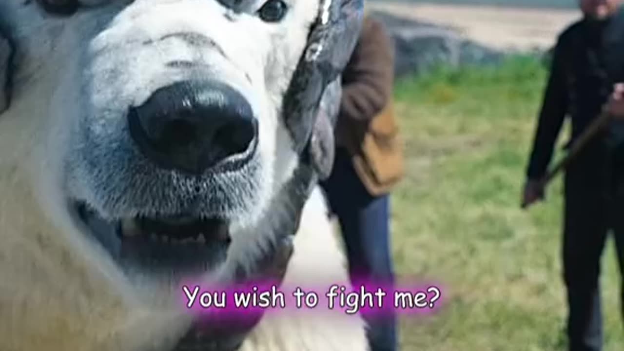 English Movie