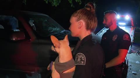 COPS S36E11 Wild Ride