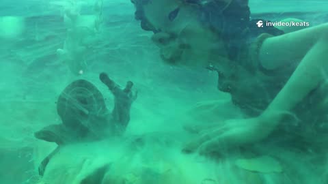 Fog कैसे बनती है? ❄️ Cute Winter Science for Kids | Learn Toons Hindi