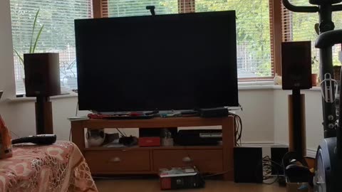 Very nice song beginning!