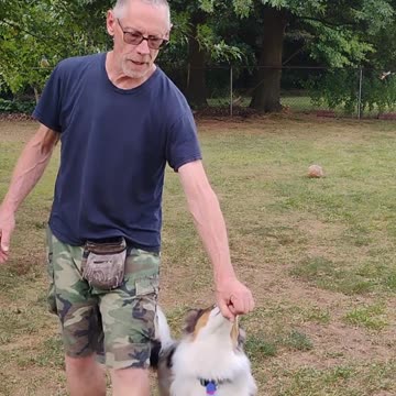 Structured Play Games Backing Up Exercise short 2