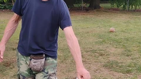 Structured Play Games Backing Up Exercise short 2