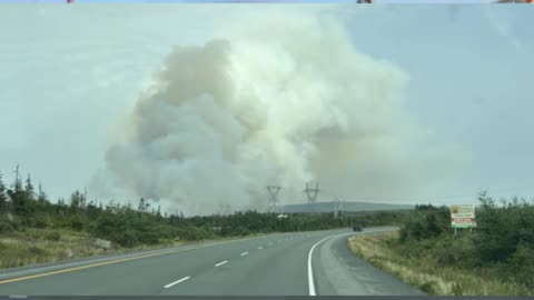 Armed Forces expected to double number of firefighters in N.L. to 80