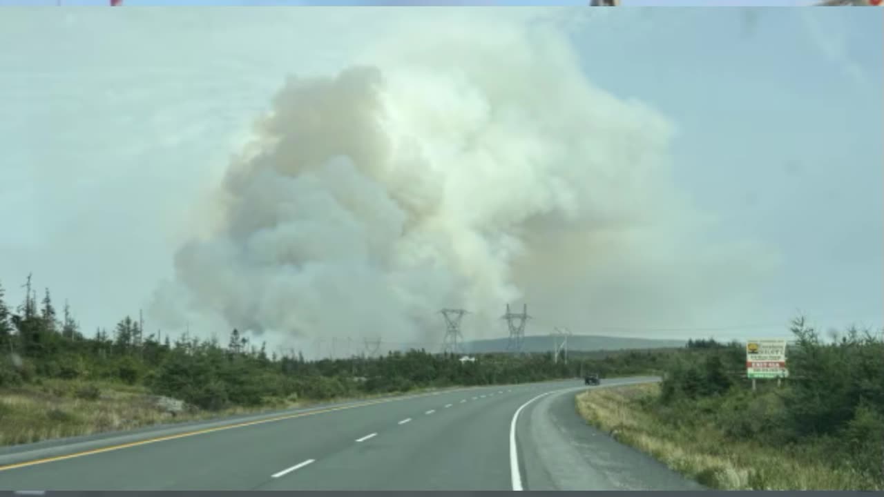Armed Forces expected to double number of firefighters in N.L. to 80