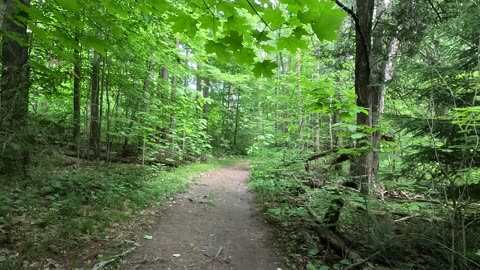 Hike on the green belt off Dufferin. 4K UHD. Steady cam.