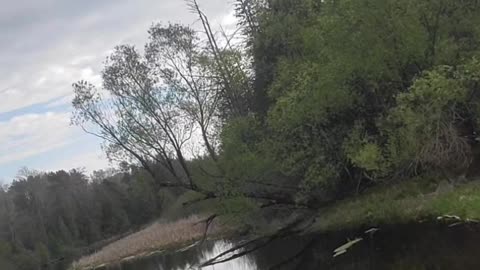 Enjoying The Nature