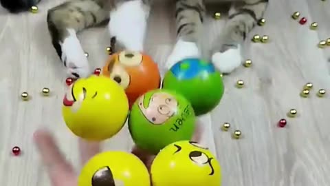 Balls 😁🐱 Cat Barsik Reverse Video #funnyreversecat #cat #catfunny #funny #funnyreverse #kitten