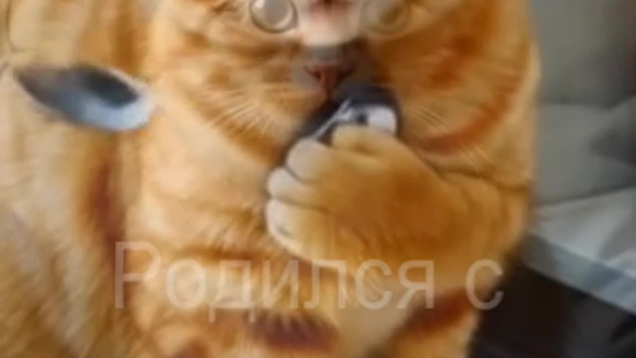 Буквально