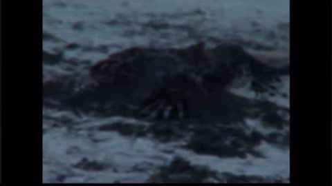 Mermaids~ The Body Found, Part 5