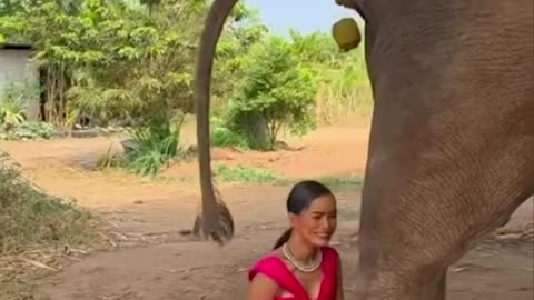 Elephant said "CATCH THIS"