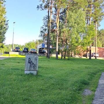 Lakeside Bliss: Pines, Cones & Fresh Air After a Swim! 🌲