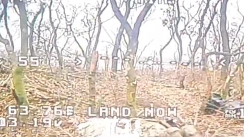 Dead manure from the Konstantinovsky direction