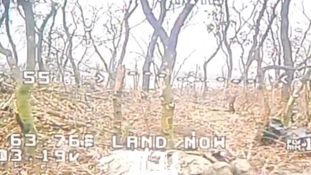 Dead manure from the Konstantinovsky direction