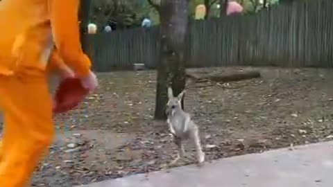 Going for walk